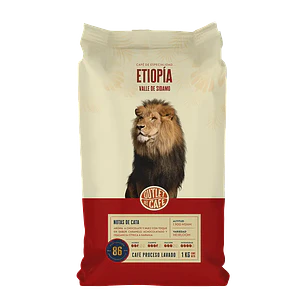Café de Especialidad en Grano Etiopía 1 Kg 100% Arábica