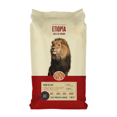 Café de Especialidad en Grano Etiopía 1 Kg 100% Arábica