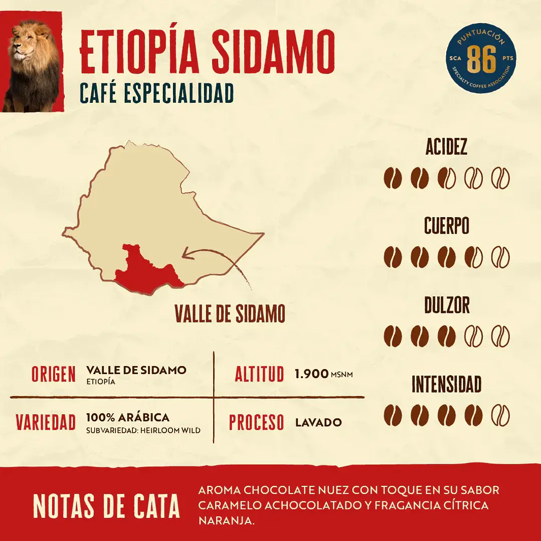 Café de Especialidad en Grano Etiopía 1 Kg 100% Arábica 2