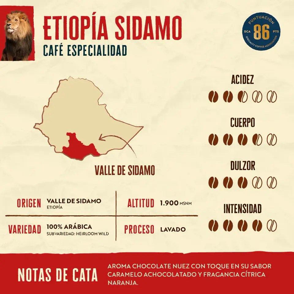 Café de Especialdiad Etiopía 500g 100% Arábico 2