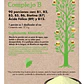 Vitaminas Complejo B Dulzura Natural 90 Porciones - Miniatura 1