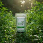 Té Matcha Premium Japonés Orgánico 50g Alma Matcha - Miniatura 4