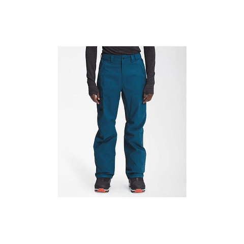 The North Face M Freedown Pants