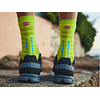 Compressport Pro Racing Socks V4.0 Ultralight Run High - Primerose/ Blue