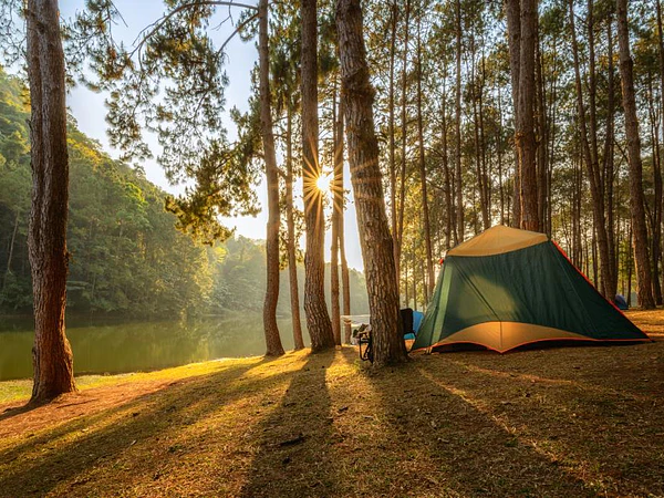 7 Consejos Claves para un Día de Camping Perfecto