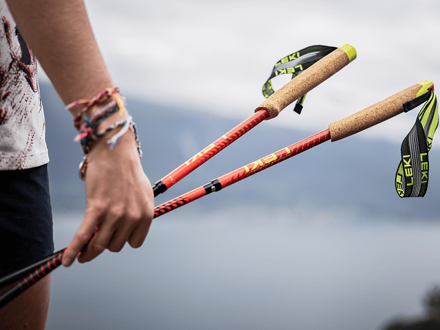 Cómo Elegir y Usar Bastones de Trekking como un experto