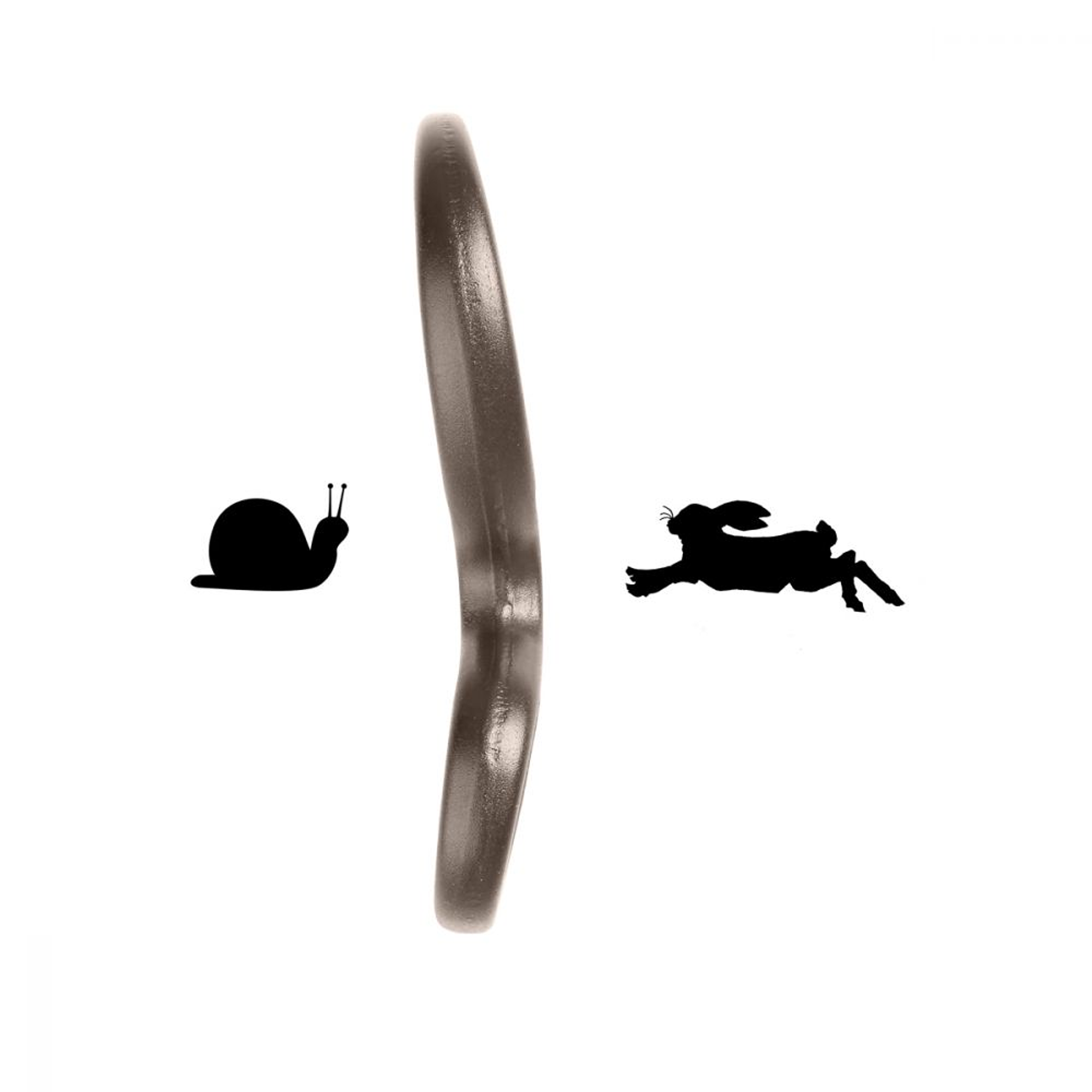 Asegurador Ocho Grivel 2