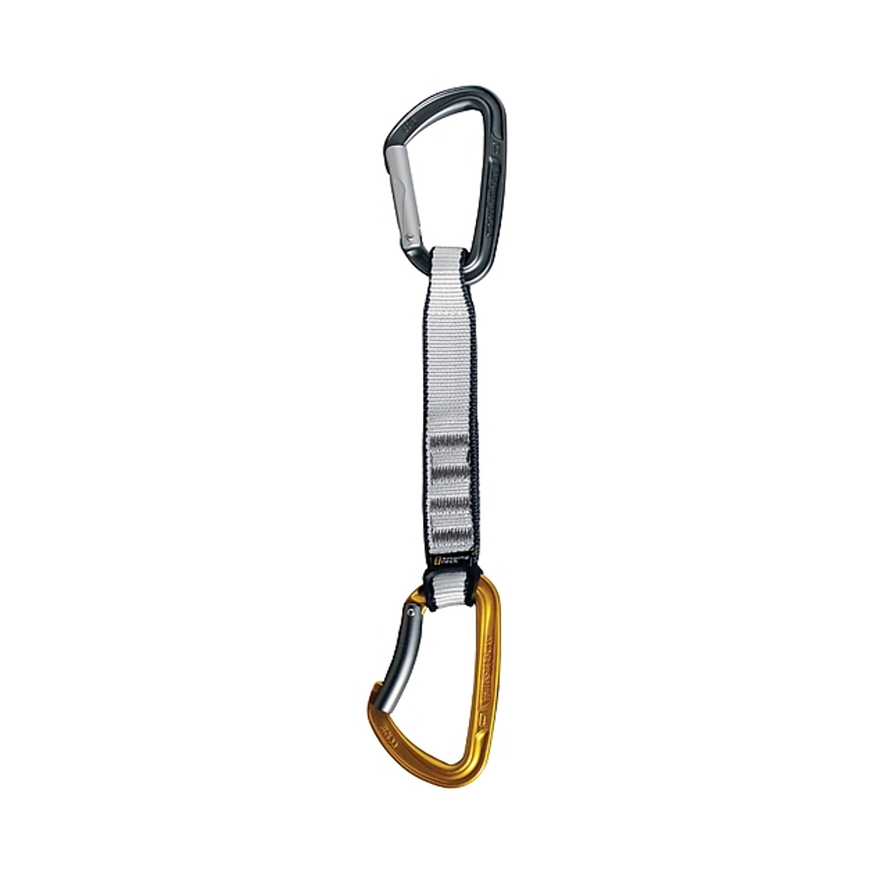 Cinta Express Colt 17cm Singing Rock 1