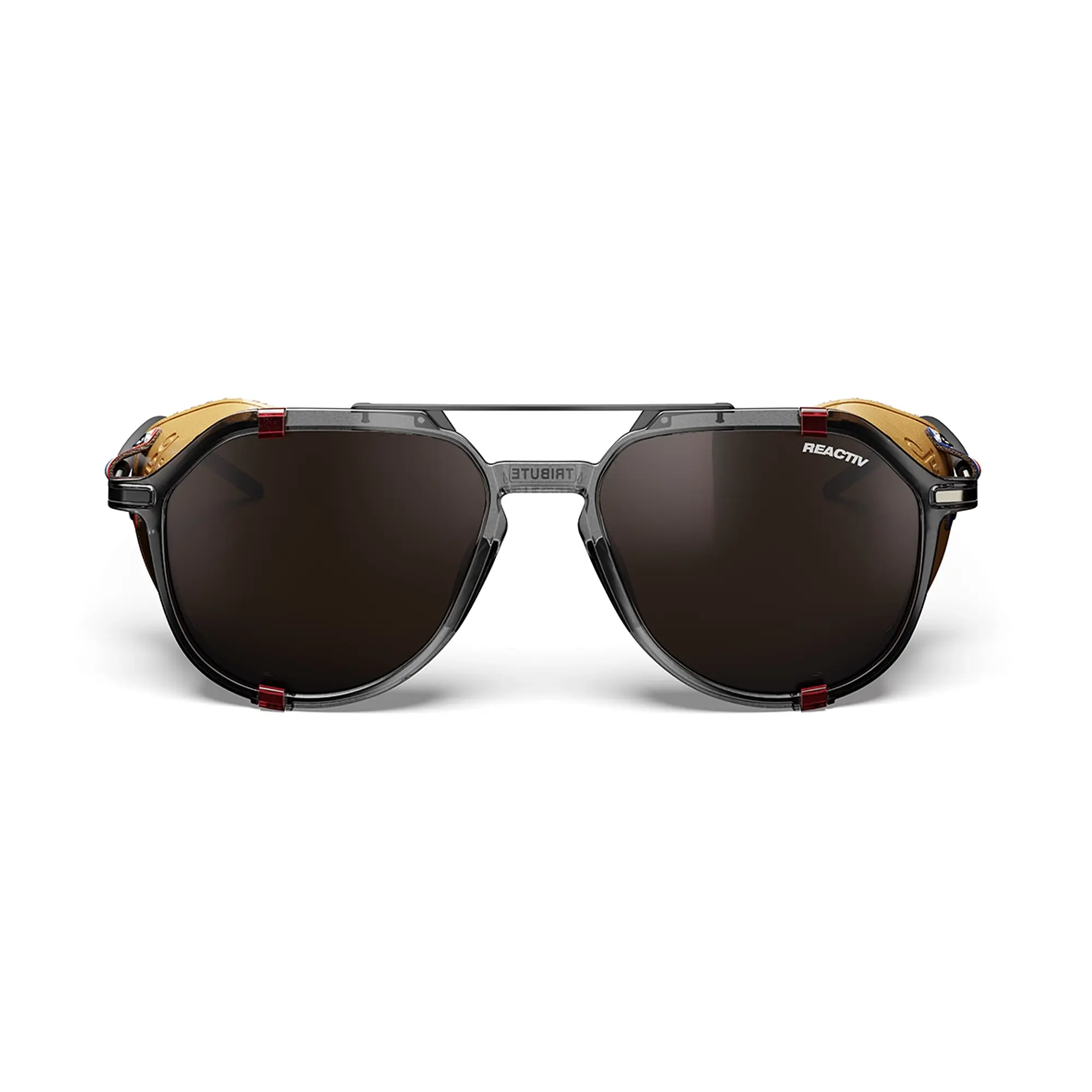Lentes Tribute REACTIV 2-4 Polarized Julbo 2