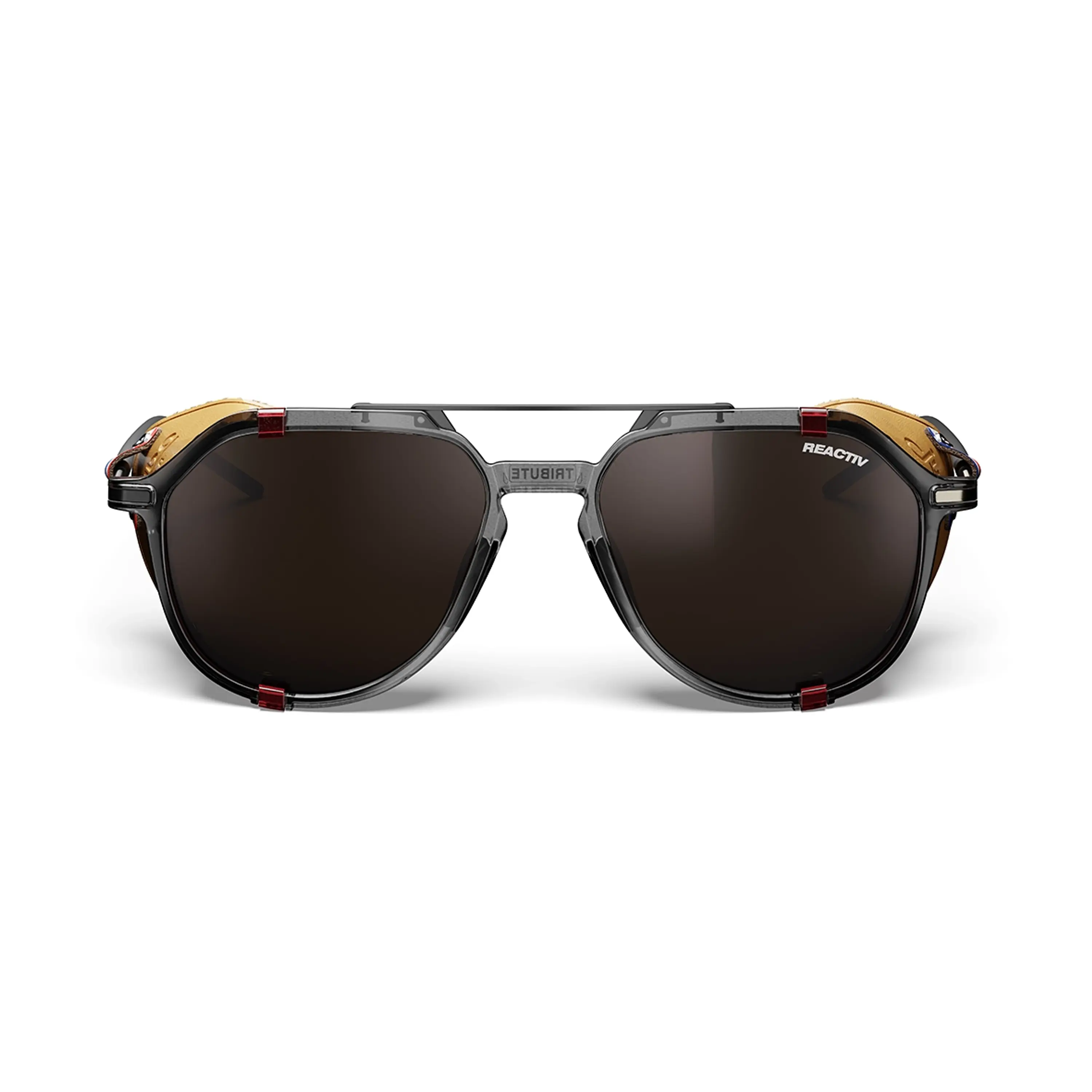 Lentes Tribute REACTIV 2-4 Polarized Julbo 2