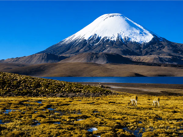 Ojos del Salado: Guía Completa para Subir la Ruta Normal por Chile
