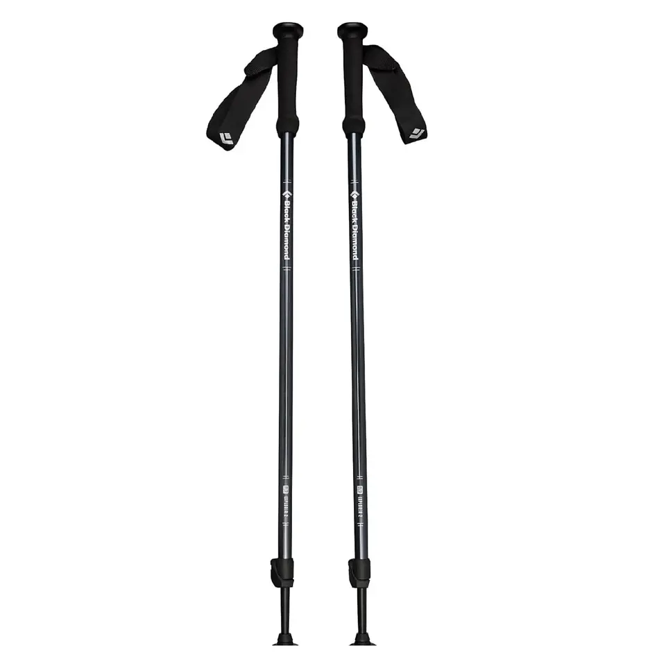 Bastones de Trekking Explorer 2 Ink Blue Black Diamond 1
