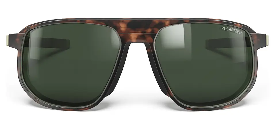 Lente Ward Spectron 3 Polarized Brown / Gray Julbo 2