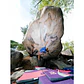 Crash Pad Double Air Bag Beal - Miniatura 3