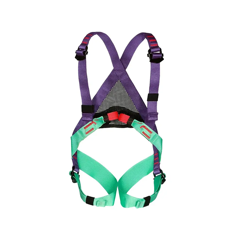 Arnés Integral Infantil Bambi II Morado Beal 1
