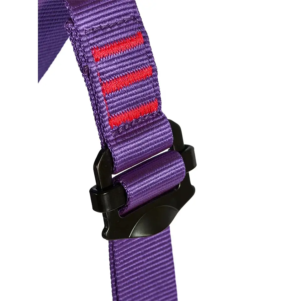 Arnés Integral Infantil Bambi II Morado Beal 4