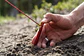 Estacas Mini Groundhog Stake Kit MSR - Miniatura 3