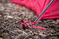 Estacas Groundhog Stake Kit MSR - Miniatura 4