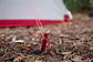 Estacas Groundhog Stake Kit MSR - Miniatura 5
