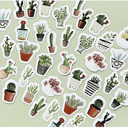 SET DE STICKERS CACTUS