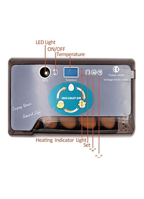 Incubadora De Huevos Digital Automática 12 Huevos 