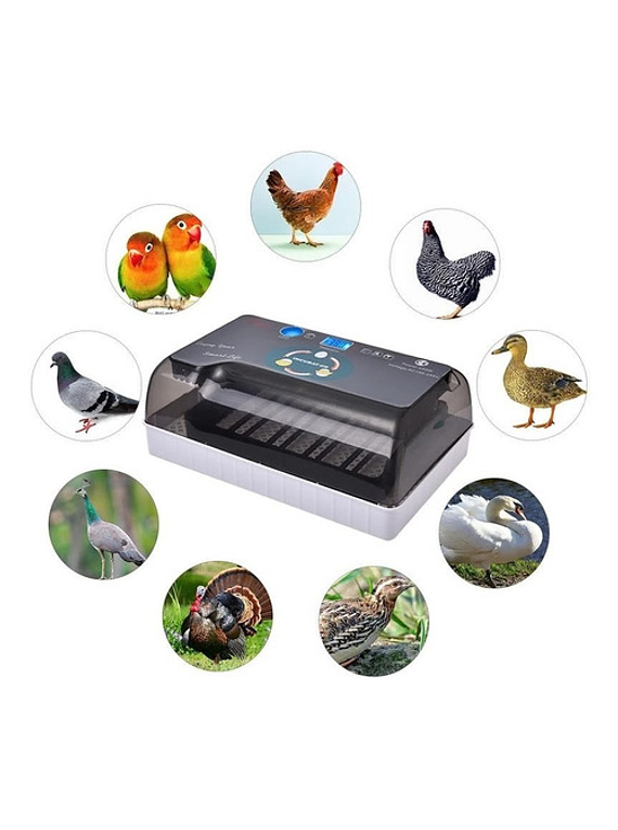Incubadora De Huevos Digital Automática 12 Huevos 