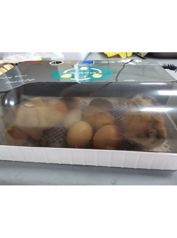 Incubadora De Huevos Digital Automática 12 Huevos 