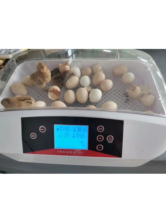 Incubadora Y Nacedora  De Huevos Automática - 42 Huevos 