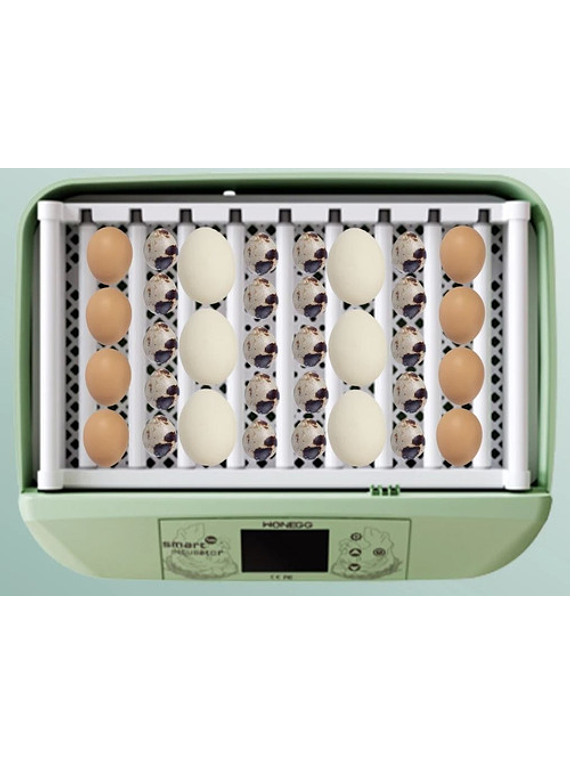 Incubadora Y Nacedora Automatica 32 Huevos Con Humidificador