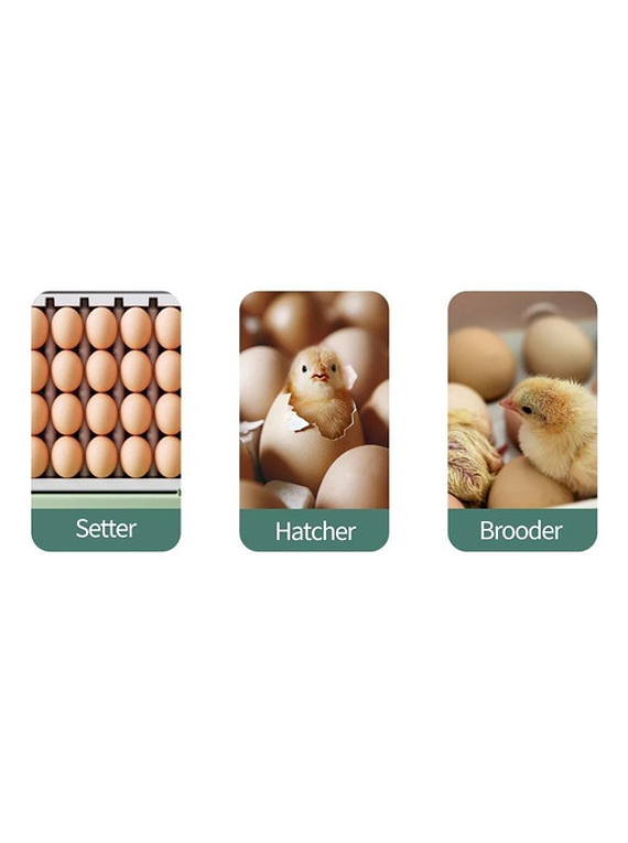 Incubadora Y Nacedora Automatica 32 Huevos Con Humidificador