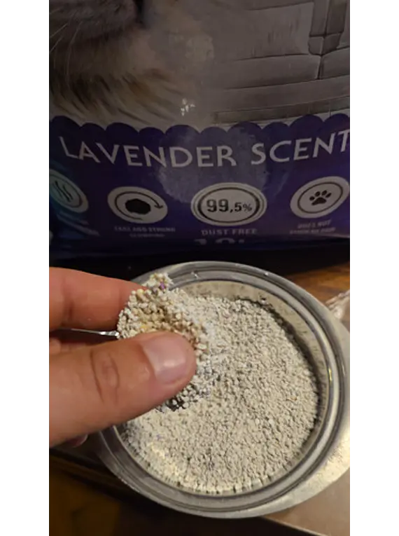 Bentysandy Arena Sanitaria Gato Talco 8.5kg Absorbente Olor