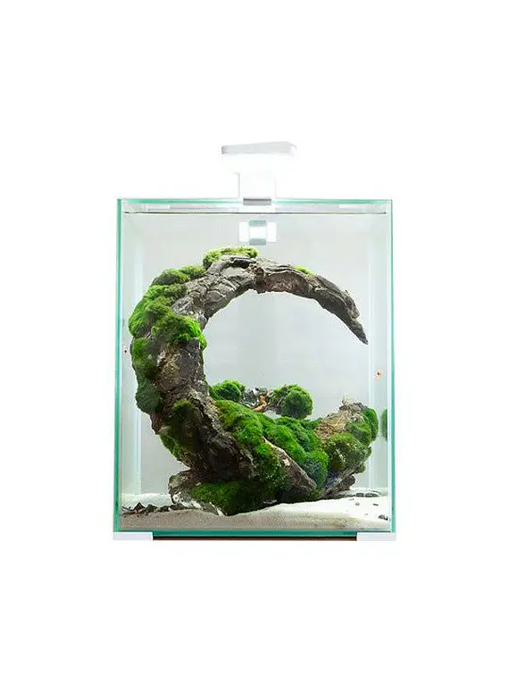 Acuario SHRIMP DAY AND NIGHT 30 Litros