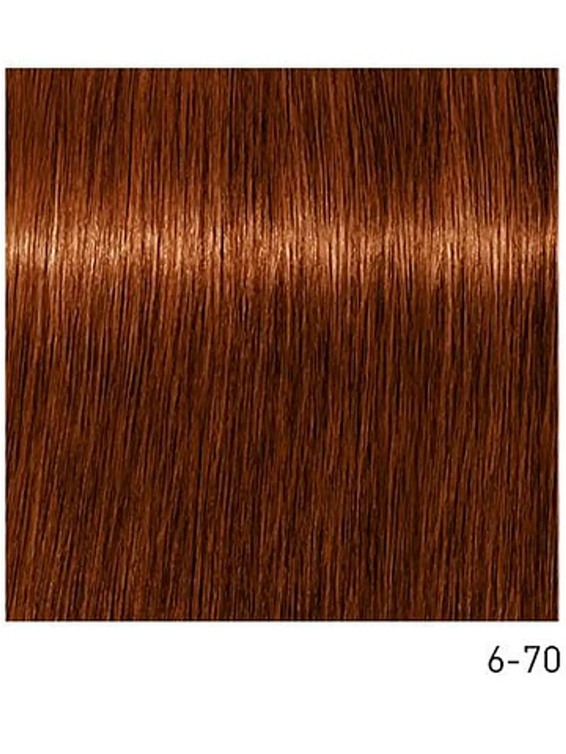 Tintura Permanente IGORA Absolutes 6-70: Rubio Oscuro Cobrizo Natural 2