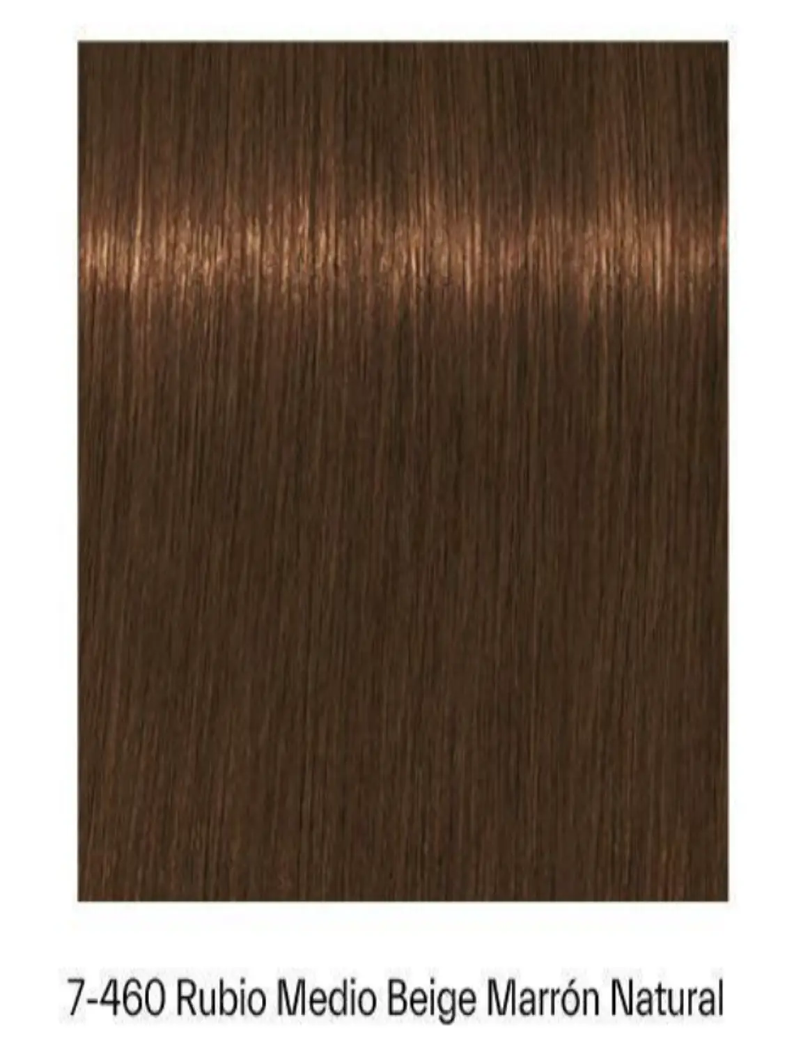 IGORA Royal Absolutes Tono 7-460 Rubio Medio Beige Marrón Natural 2
