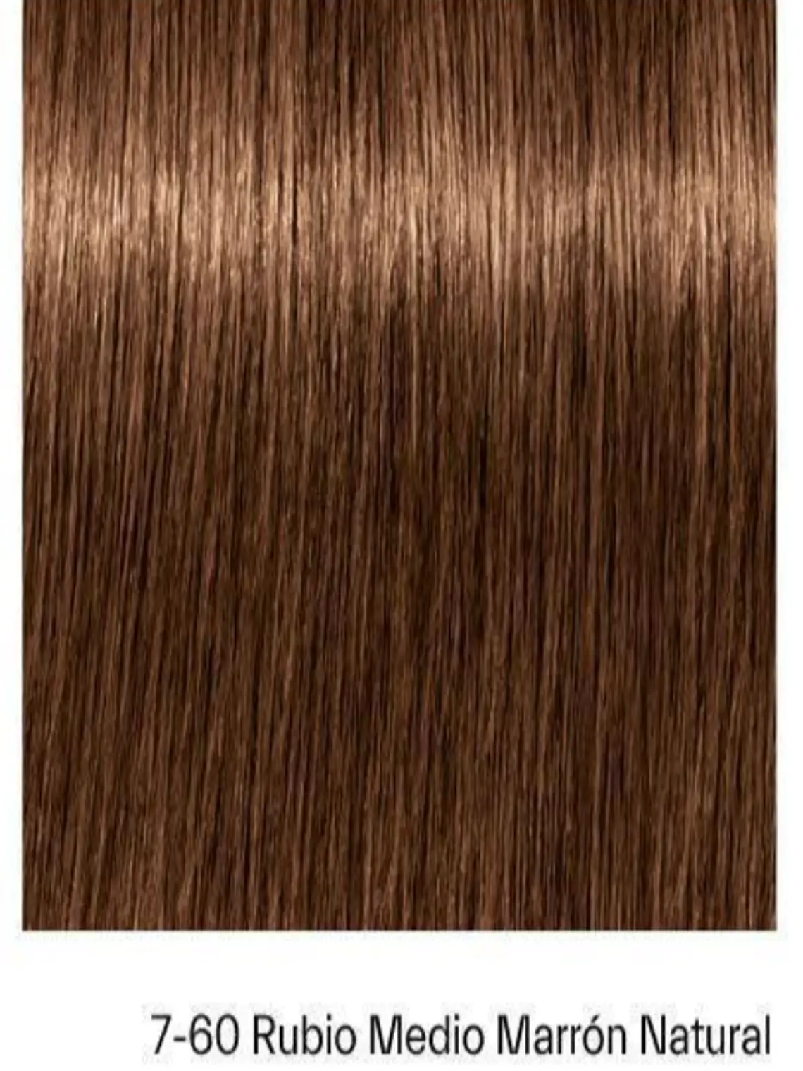 IGORA Royal Absolutes Tono 7-60 Rubio Medio Chocolate Natural 2
