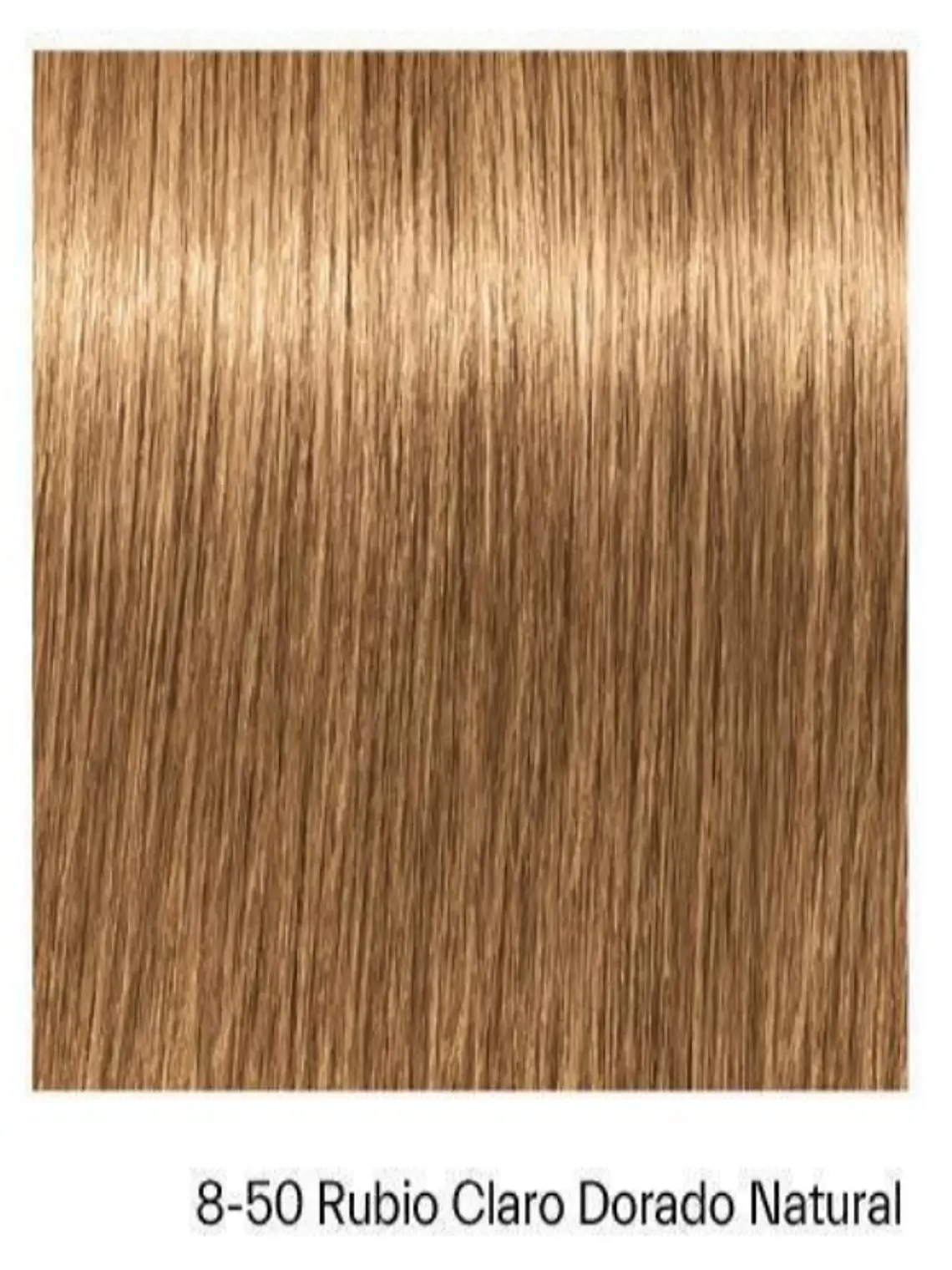 IGORA ABSOLUTES 8-50 Rubio Claro Dorado Natural 2