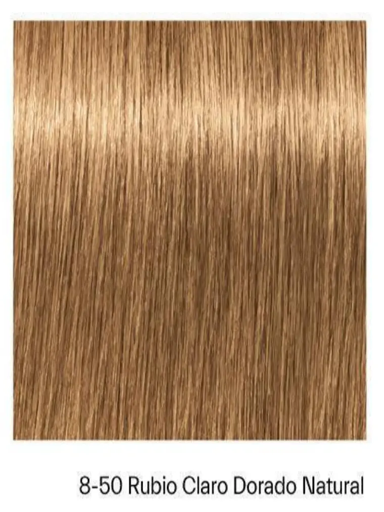 IGORA ABSOLUTES 8-50 Rubio Claro Dorado Natural 2