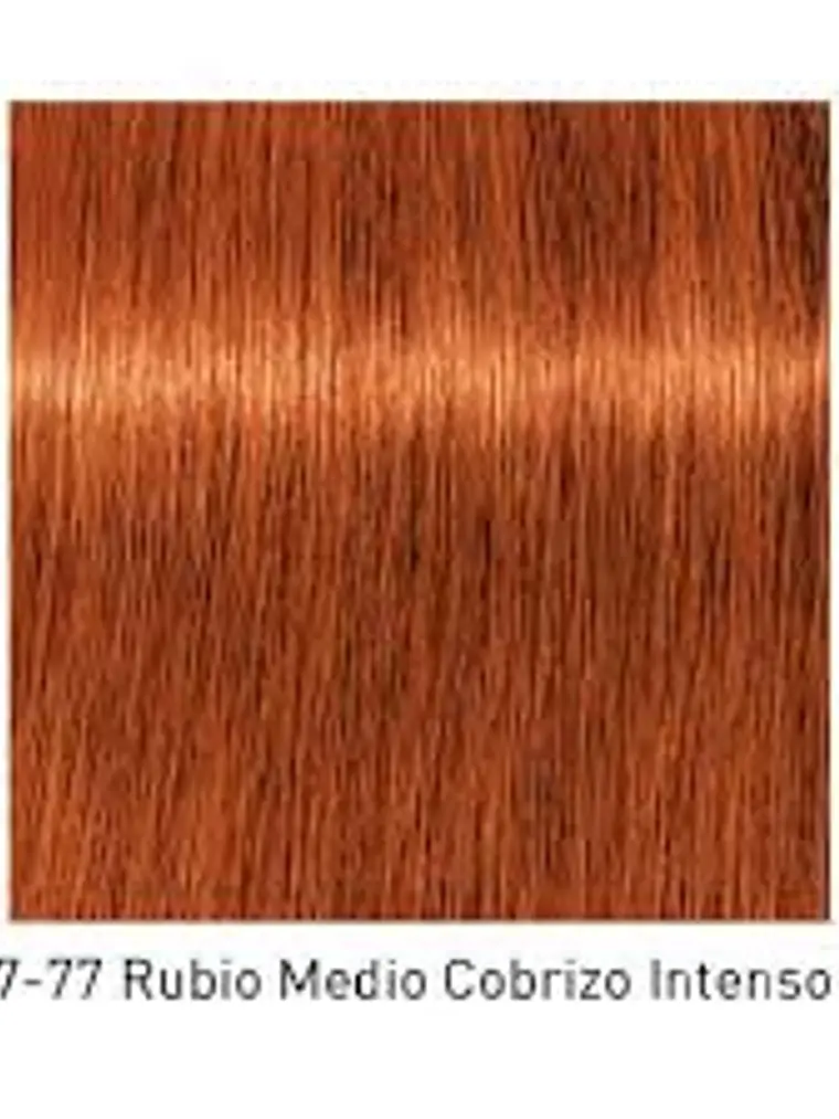 IGORA ROYAL 7-77 Rubio Medio Cobrizo Intenso 2