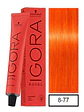 IGORA ROYAL 8-77 Rubio Claro Cobrizo Intenso - Miniatura 1