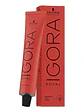 IGORA ROYAL 9-11 Rubio Extra Claro Ceniza Intenso - Miniatura 1