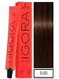 IGORA ROYAL 5-00 Castaño Claro Intenso - Miniatura 1