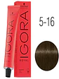 IGORA ROYAL 5-16 Castaño Claro Ceniza Marrón - Miniatura 1
