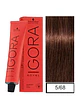 IGORA ROYAL 5-68 Castaño Claro Marrón Rojo - Miniatura 1