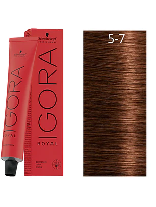 IGORA ROYAL 5-7 Castaño Claro Marrón Cobrizo