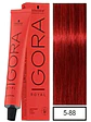 IGORA ROYAL 5-88 Castaño Claro Rojo Intenso - Miniatura 1