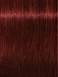 IGORA ROYAL 5-88 Castaño Claro Rojo Intenso - Miniatura 2