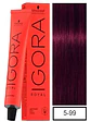 IGORA ROYAL 5-99 Castaño Claro Violeta Intenso - Miniatura 1