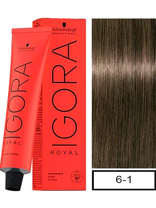 IGORA ROYAL 6-1 Rubio Oscuro Ceniza