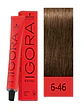 IGORA ROYAL 6-46 Rubio Oscuro Beige Cobrizo - Miniatura 1