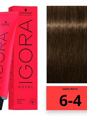IGORA ROYAL 6-4 Rubio Oscuro Beige
